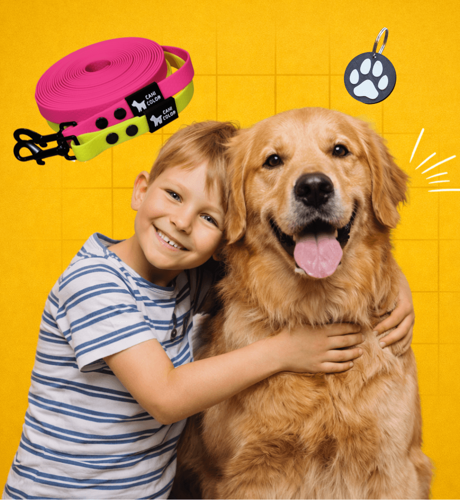 vízhatlan pórázok, egyedi nyakörvek, szettek, kiegészítők