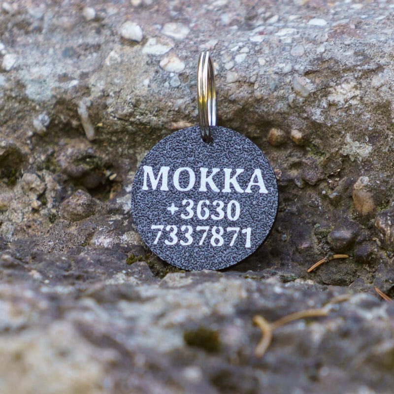 Kutyabiléta névvel, telefonszámmal