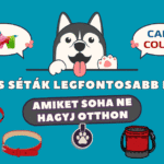 A kutyás séták legfontosabb kellékei: amiket soha ne hagyj otthon