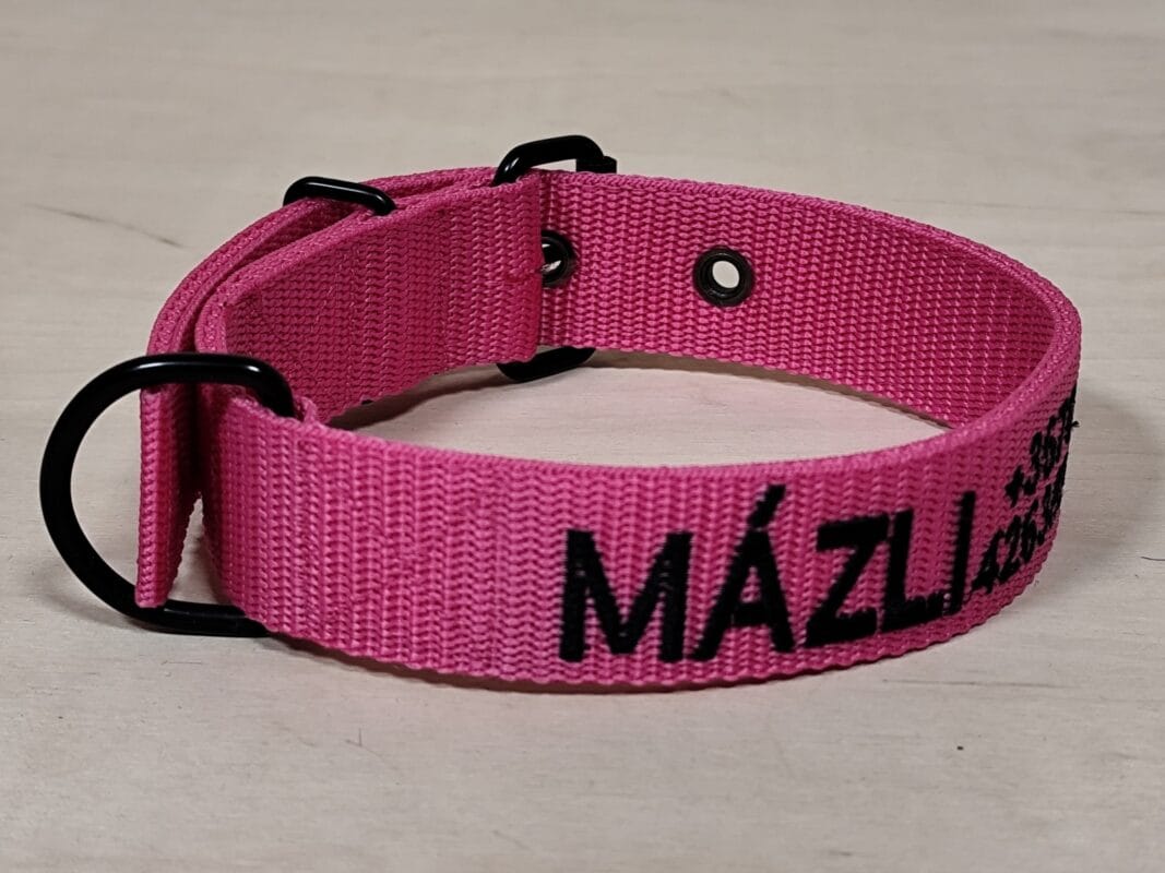 Egyedi nyakörv névvel+telefonszámmal vagy grafikával 4 cm széles 4 színben