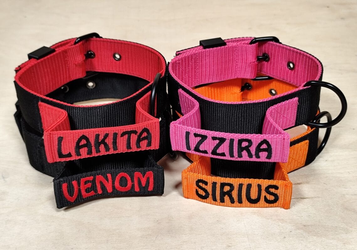 Fogantyús nyakörv egyedi hímzéssel