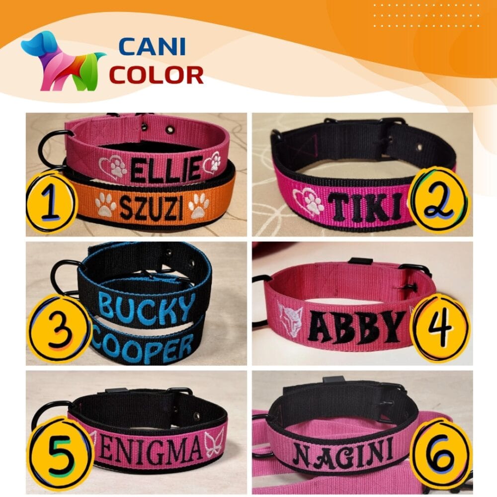 Shop Secondary Image