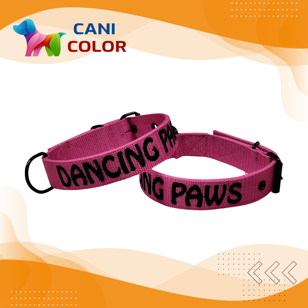 egyedi nyakörv névvel+telefonszámmal vagy grafikával 3 cm széles 6 színben