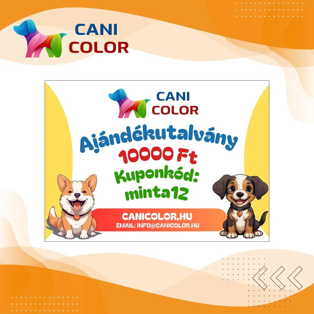 Colorful voucher featuring a corgi and a puppy, promoting a discount code for a pet-related service.