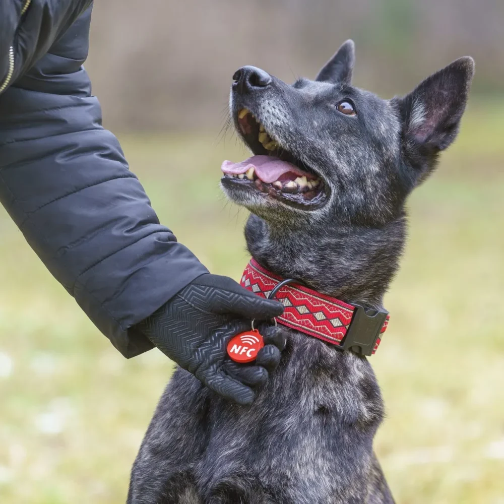 Shop Secondary Image