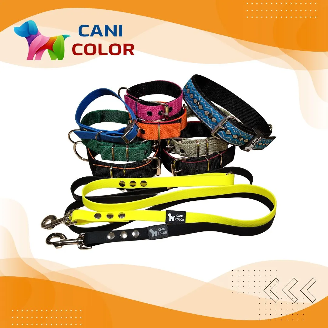 Colorful dog collars and leashes arranged together, featuring various designs and a logo for "CANI COLOR" at the top.